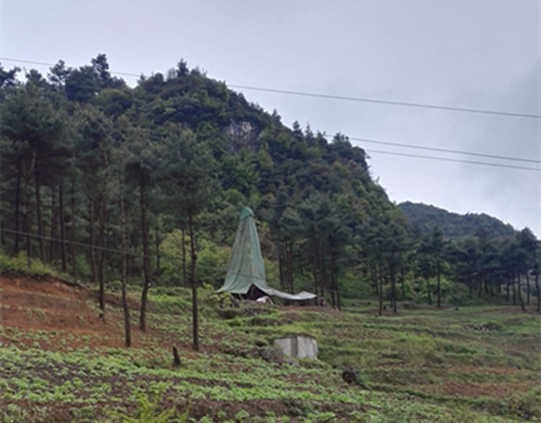 把脈“黔”鋅地，問診開良方